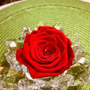 Meet your Posher, Destiny